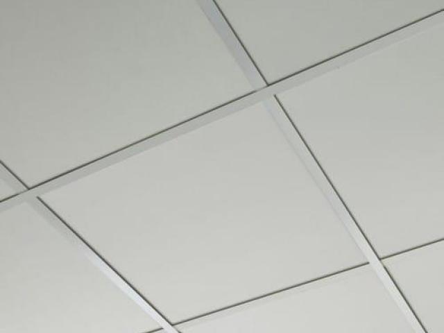 Mai Ceiling TT